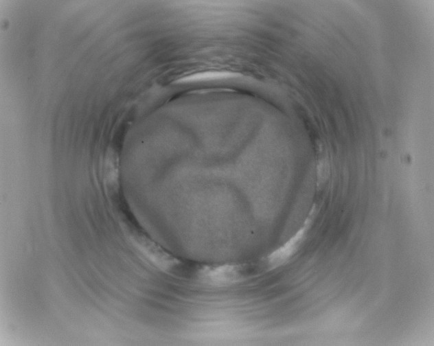 X0000070340186200607072022