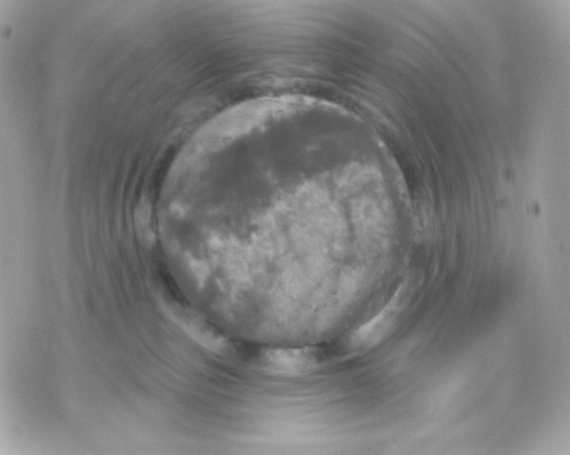 X0000070340187200607072022