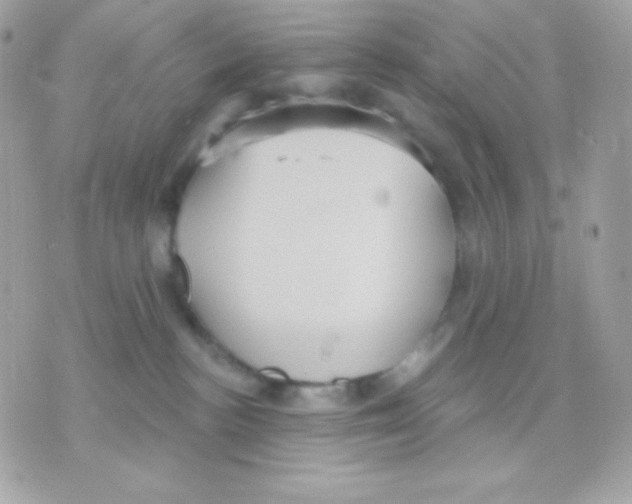 X0000070340188200607072022