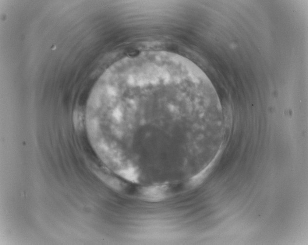 X0000070340191200607072022