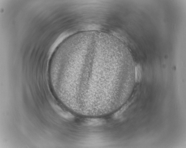 X0000070340195200607072021