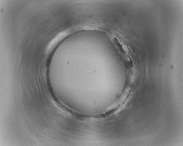 X0000070340197200607072021