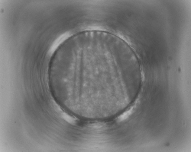 X0000070340199200607072021