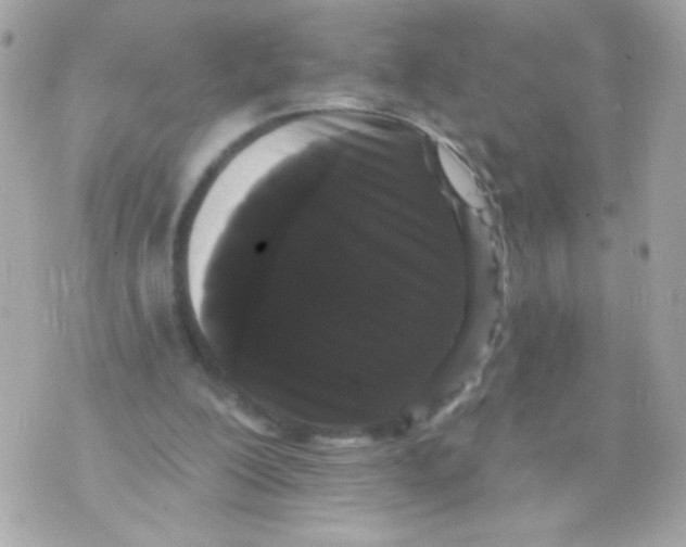 X0000070340200200607072021