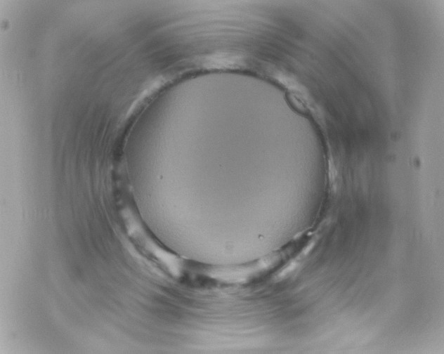 X0000070340201200607072021