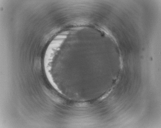 X0000070340202200607072021