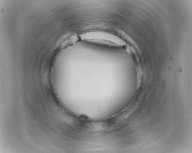 X0000070340209200607072021