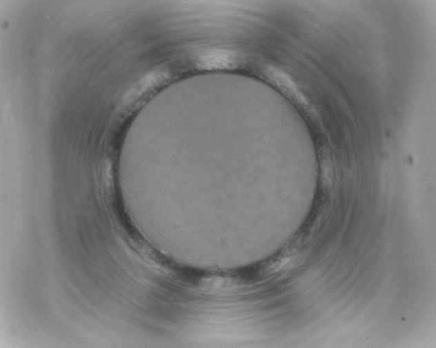 X0000070340211200607072021