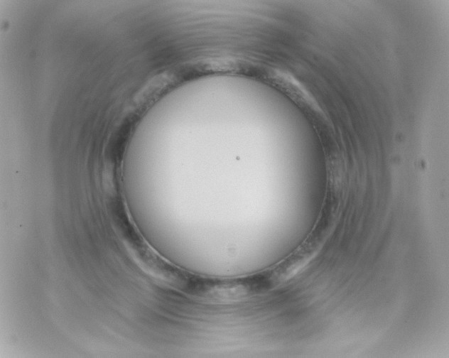 X0000070340213200607072021