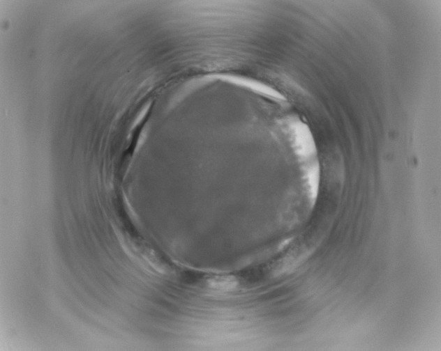 X0000070340214200607072021