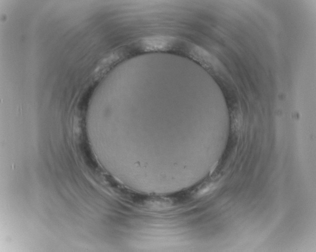 X0000070340215200607072021