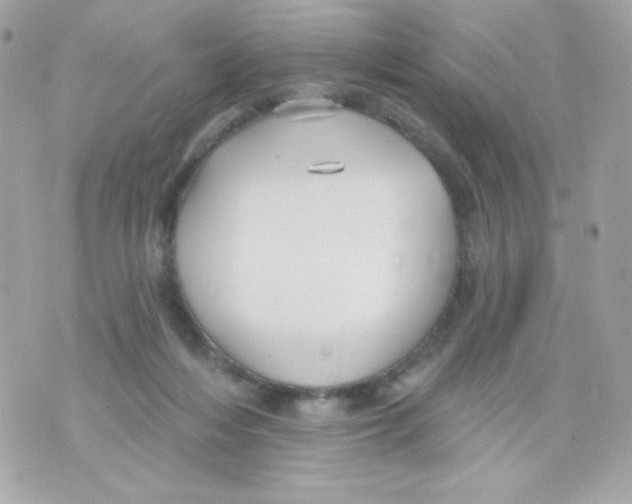 X0000070340216200607072021