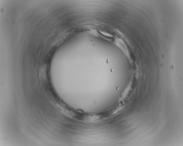 X0000070340217200607072021