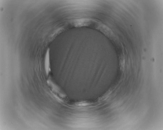 X0000070340219200607072021