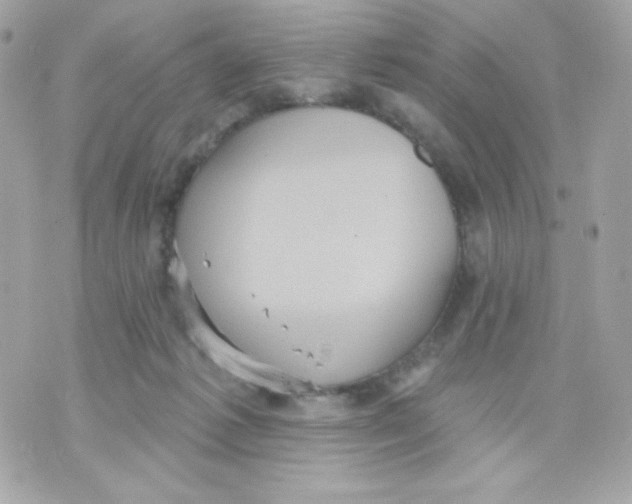 X0000070340221200607072021