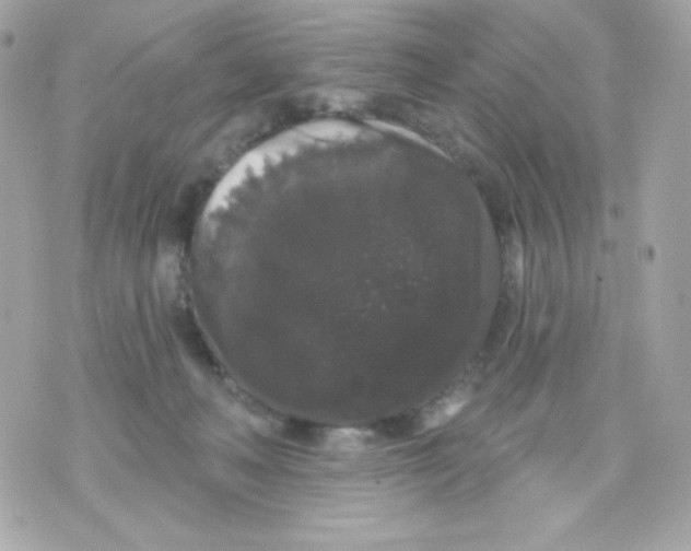 X0000070340222200607072021