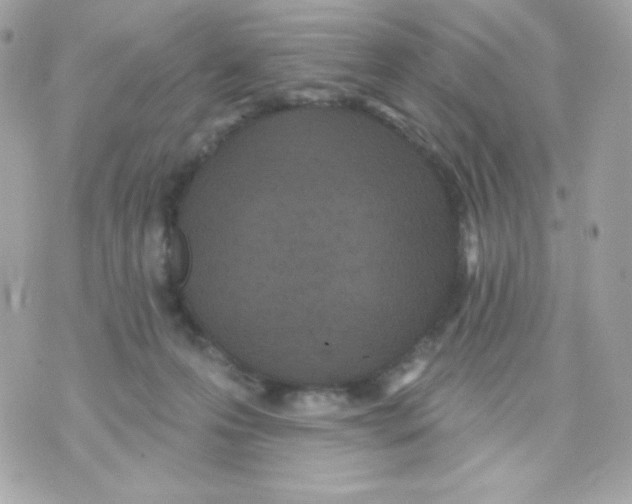 X0000070340223200607072021