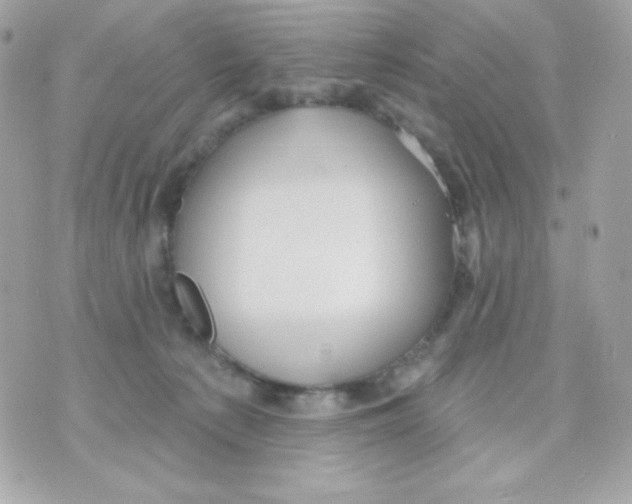 X0000070340225200607072021