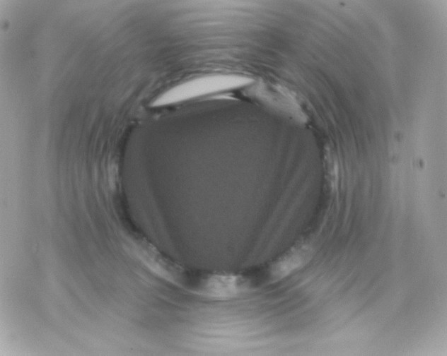 X0000070340227200607072021