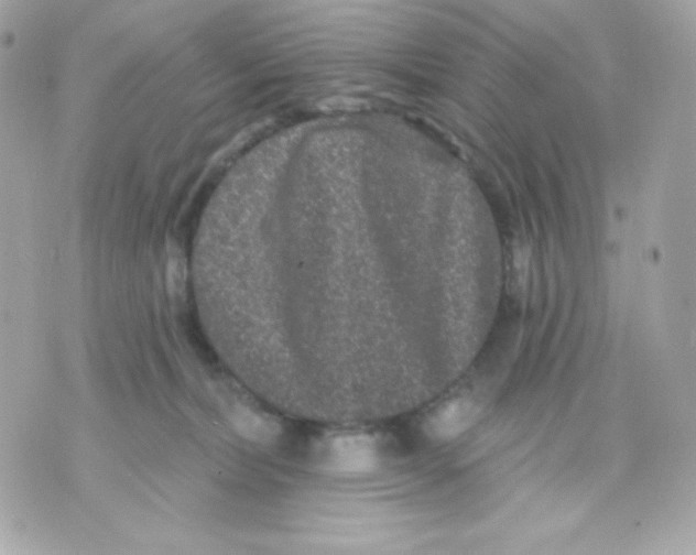 X0000070340228200607072021