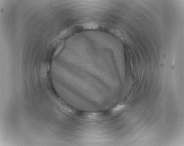 X0000070340229200607072021