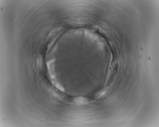 X0000070340231200607072021