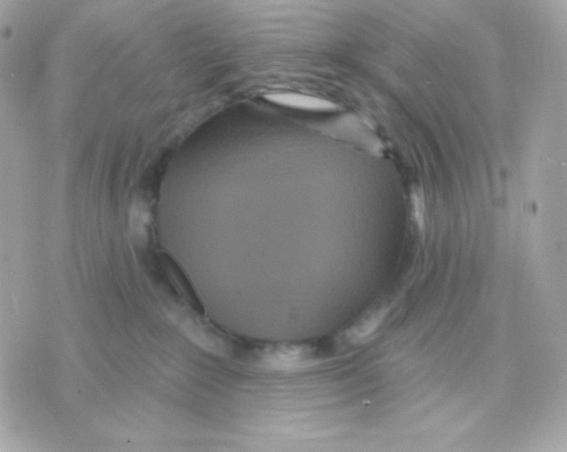 X0000070340235200607072021