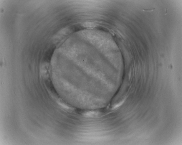 X0000070340237200607072021