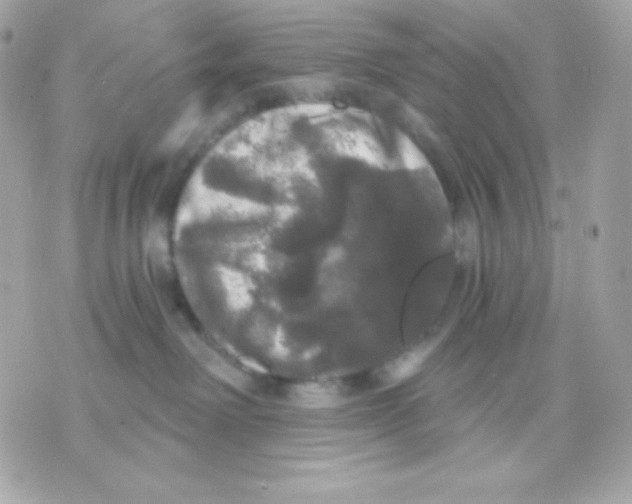 X0000070340238200607072021