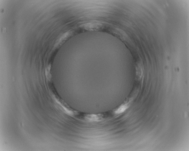 X0000070340239200607072021