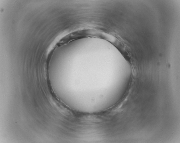 X0000070340244200607072020