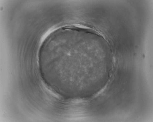 X0000070340246200607072020