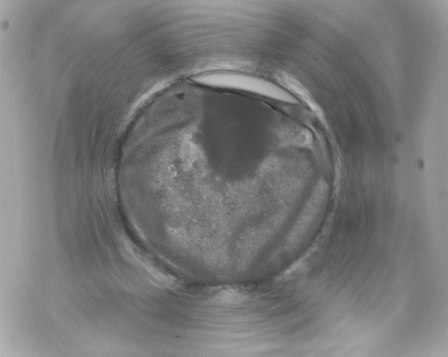 X0000070340249200607072020