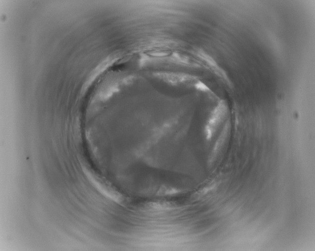 X0000070340250200607072020