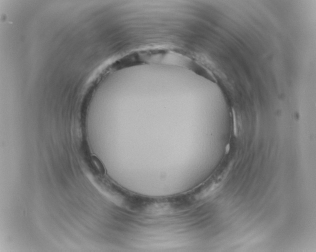 X0000070340252200607072020