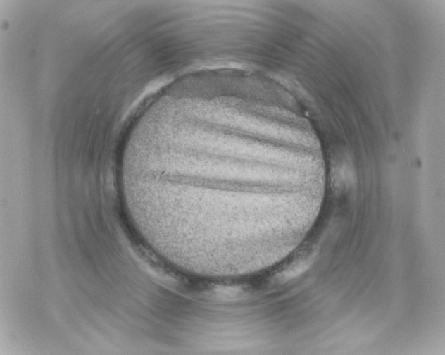 X0000070340256200607072020