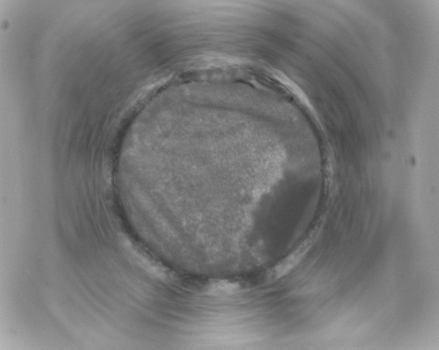 X0000070340257200607072020