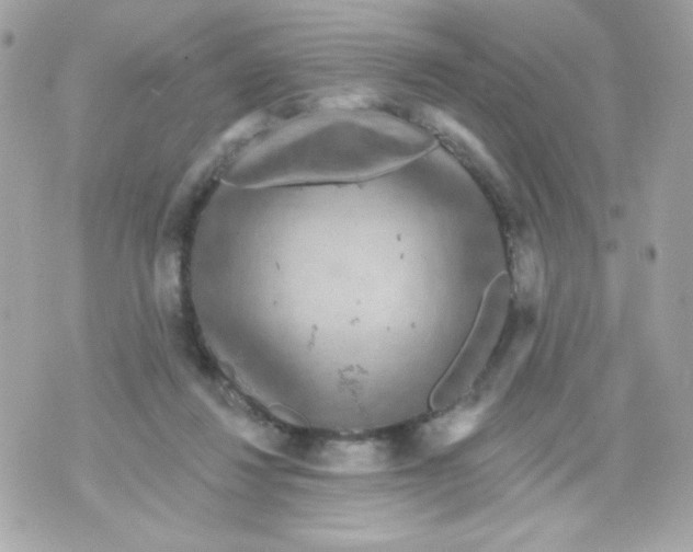 X0000070340260200607072020