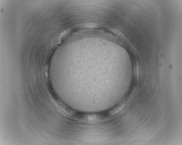 X0000070340264200607072020