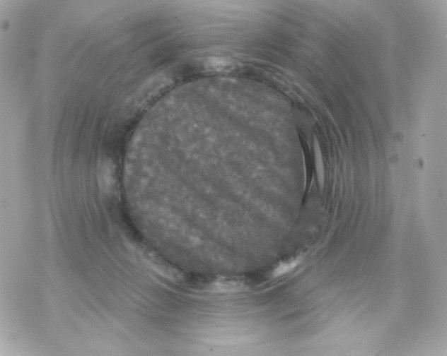 X0000070340270200607072020