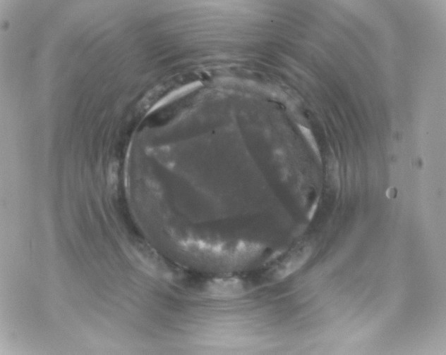 X0000070340271200607072020