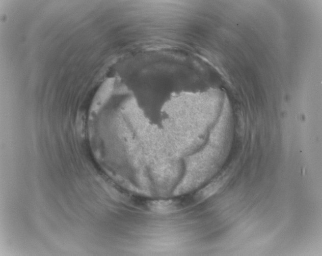 X0000070340273200607072020