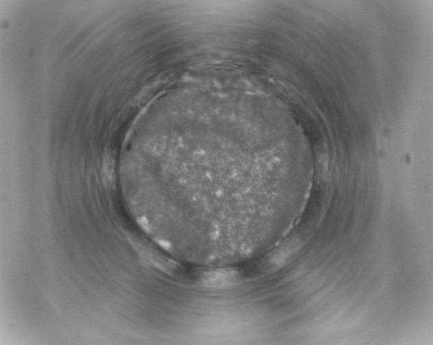 X0000070340274200607072020