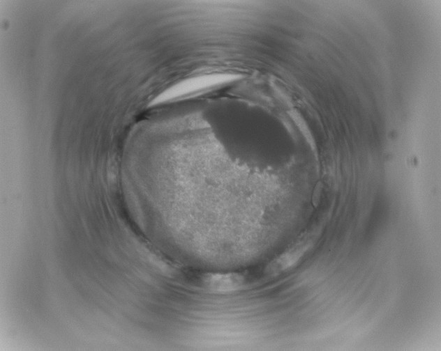 X0000070340277200607072020