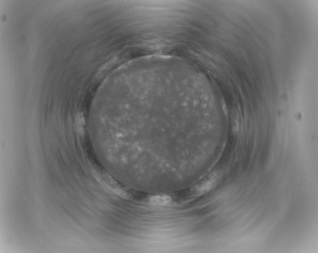 X0000070340279200607072020