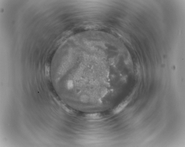 X0000070340281200607072020