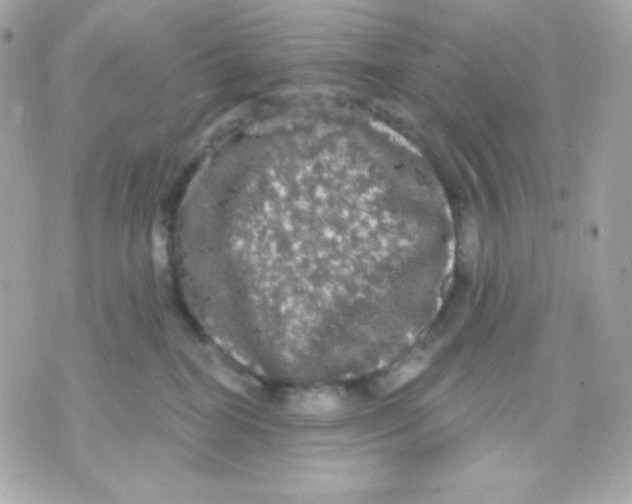 X0000070340282200607072020