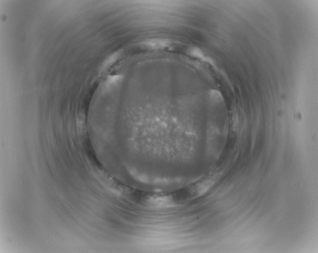 X0000070340283200607072020