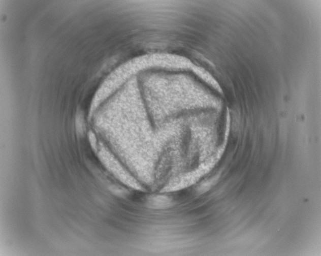 X0000070340287200607072021