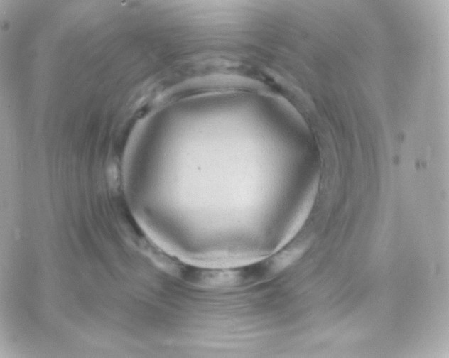 X0000070340288200607072021